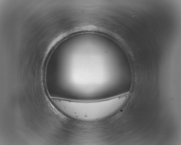 X0000077411326200610201412