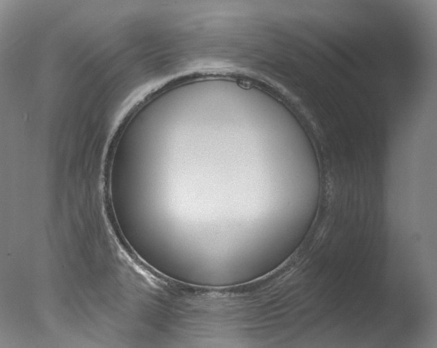 X0000077411327200610201412