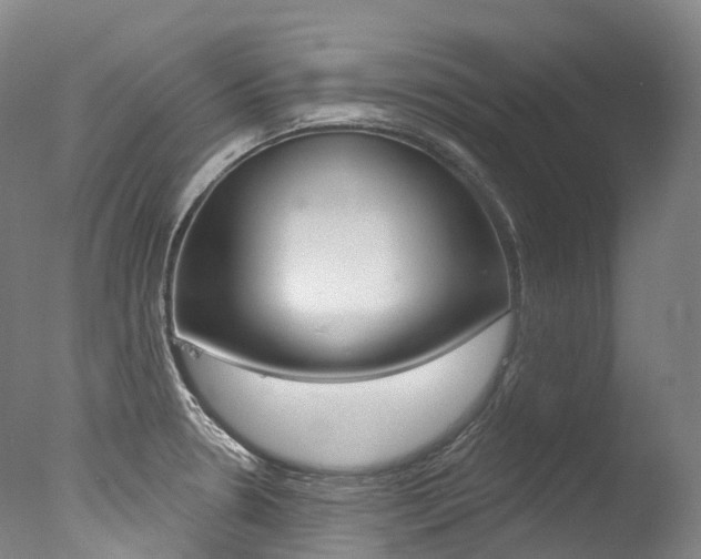 X0000077411330200610201412