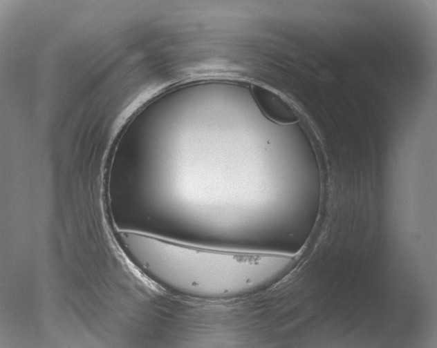 X0000077411333200610201412