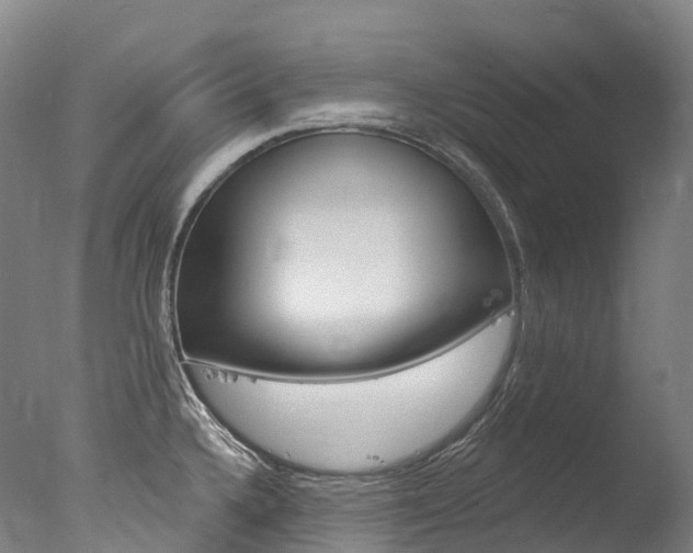 X0000077411336200610201412