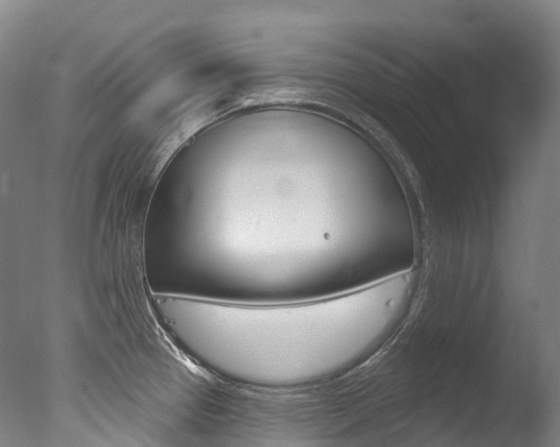 X0000077411337200610201412