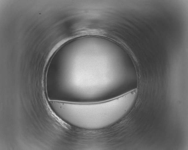 X0000077411339200610201412