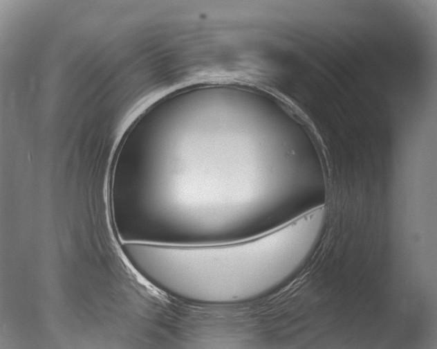X0000077411343200610201412