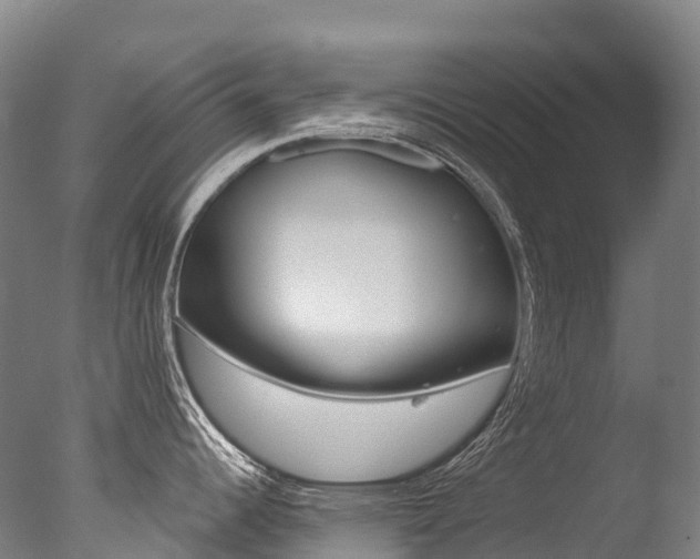 X0000077411344200610201412