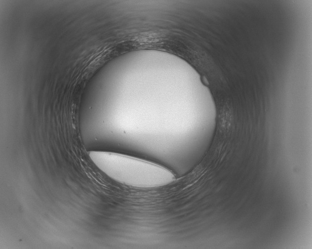 X0000077411346200610201411
