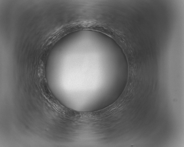 X0000077411349200610201411