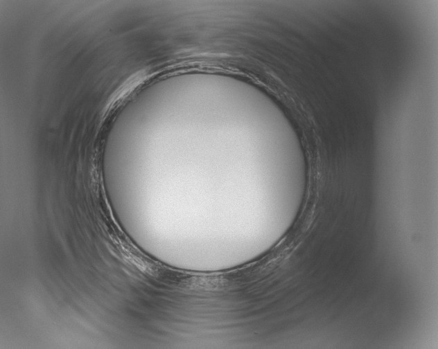 X0000077411354200610201411