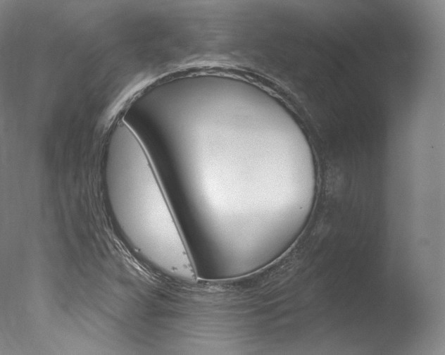 X0000077411359200610201411