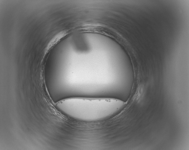 X0000077411362200610201411