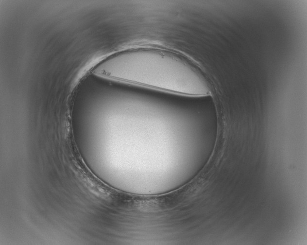 X0000077411363200610201411