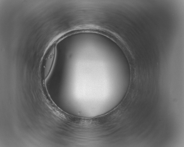 X0000077411364200610201411