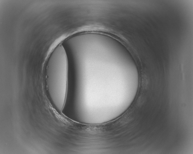 X0000077411366200610201411