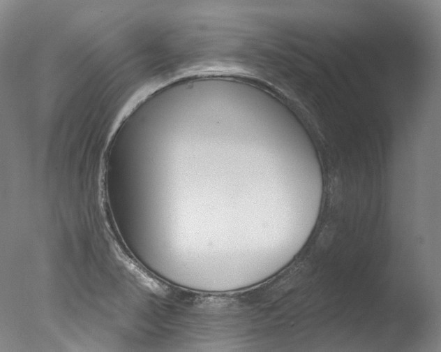 X0000077411374200610201411