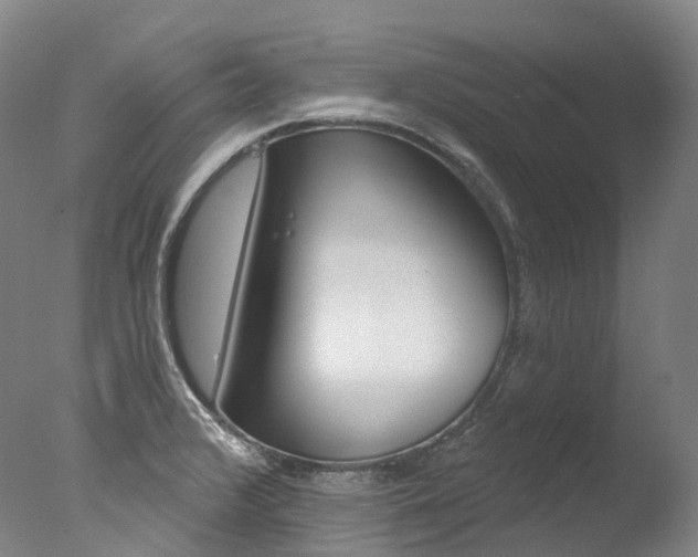 X0000077411376200610201411