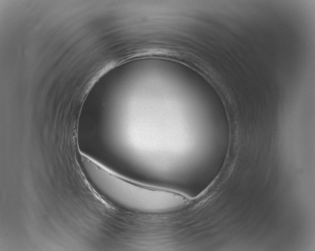 X0000077411377200610201411