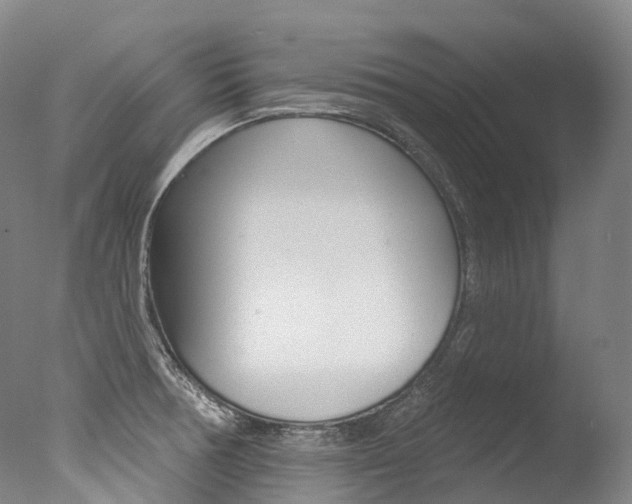 X0000077411378200610201411
