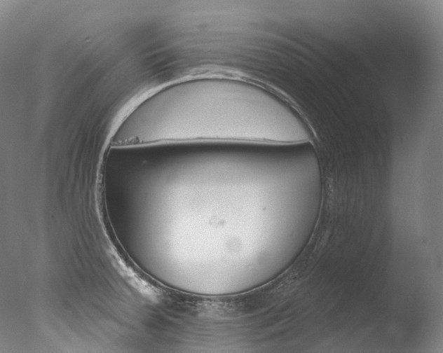 X0000077411379200610201411