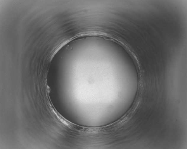 X0000077411385200610201410
