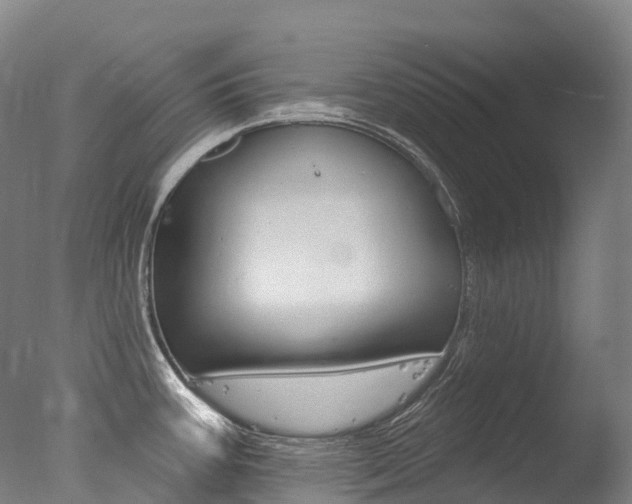 X0000077411387200610201410
