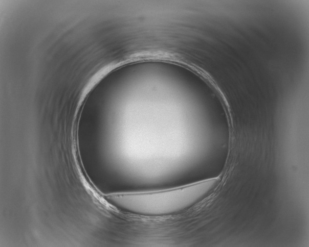 X0000077411389200610201410