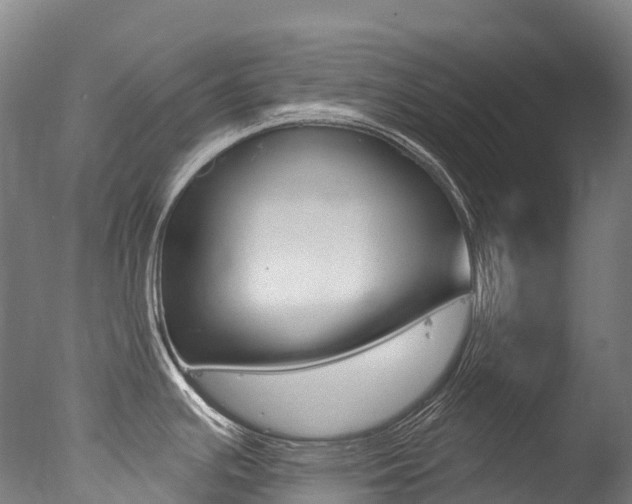 X0000077411391200610201410