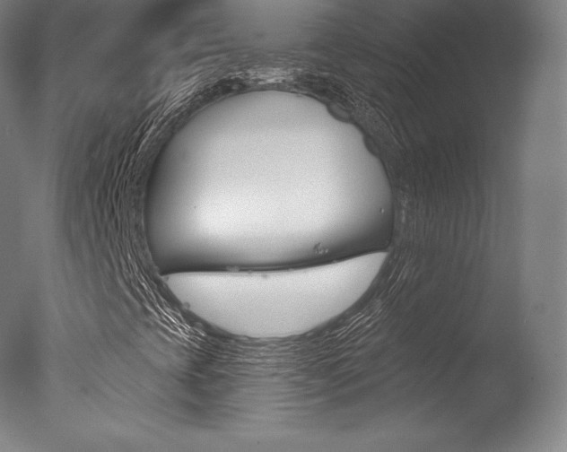 X0000077411393200610201410