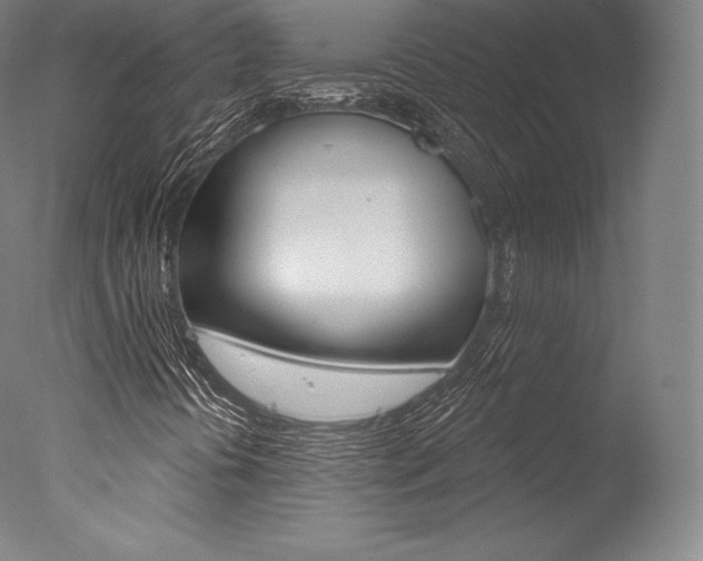 X0000077411394200610201410