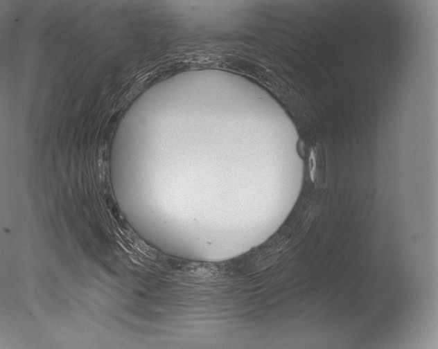 X0000077411395200610201410