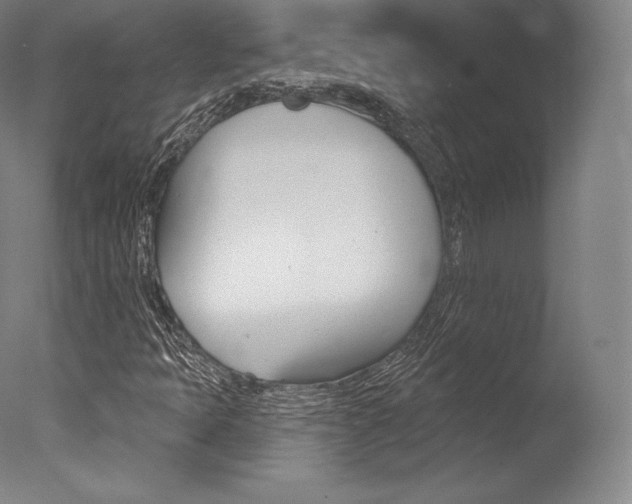 X0000077411397200610201410