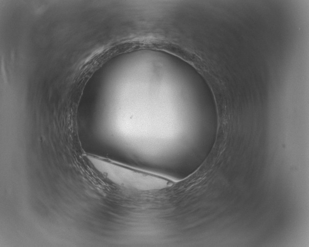 X0000077411398200610201410