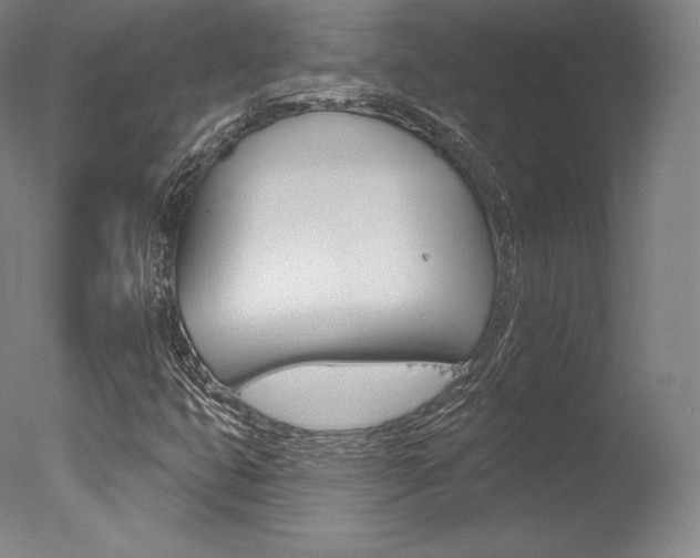 X0000077411399200610201410