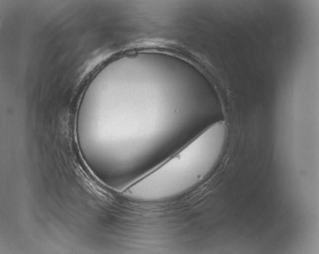 X0000077411404200610201410