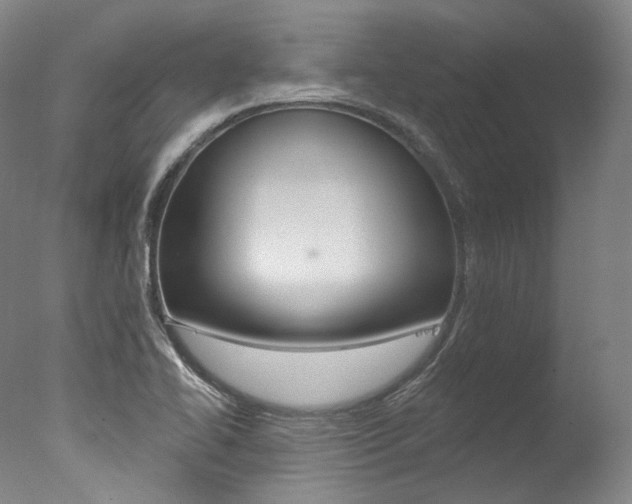 X0000077411414200610201410