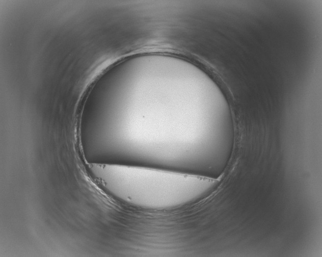 X0000077411415200610201410