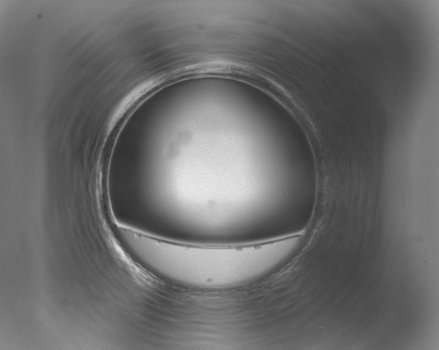 X0000077411418200610201410