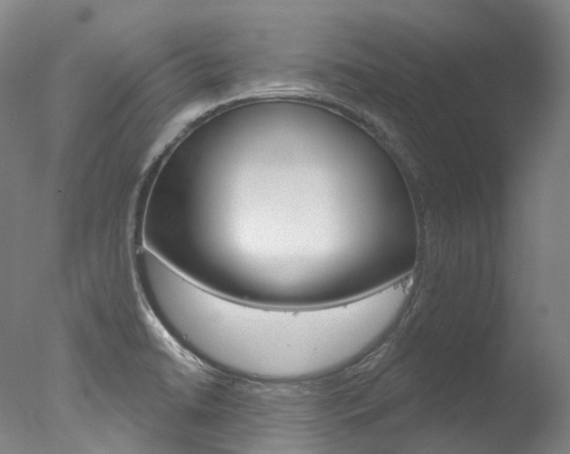 X0000077411422200610201410