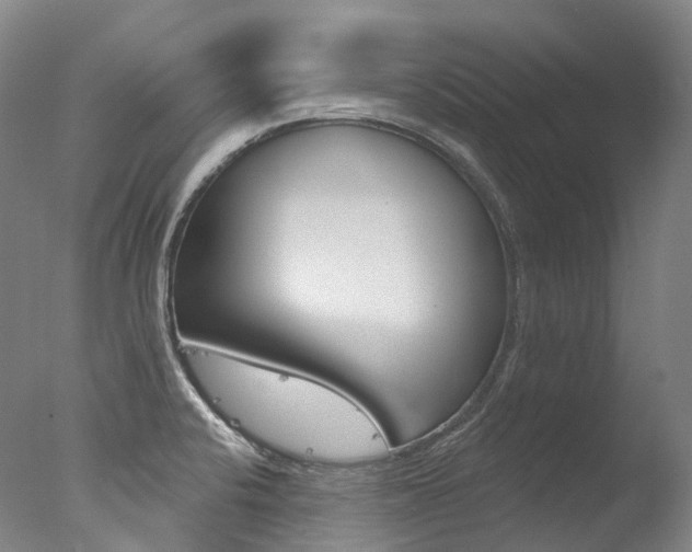 X0000077411424200610201410