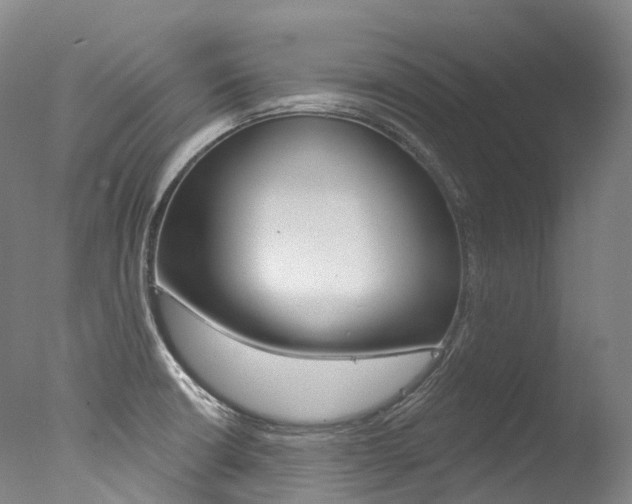 X0000077411426200610201410