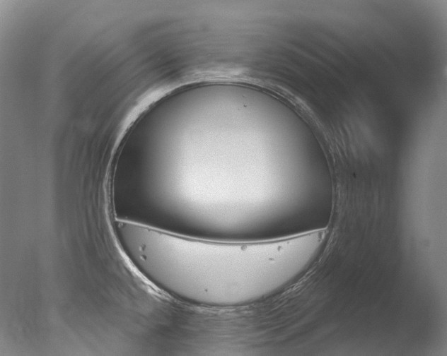 X0000077411432200610201410