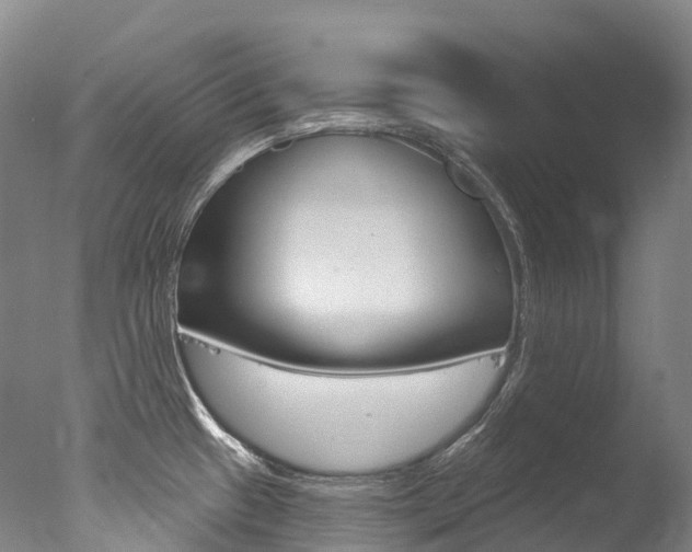 X0000077411433200610201410
