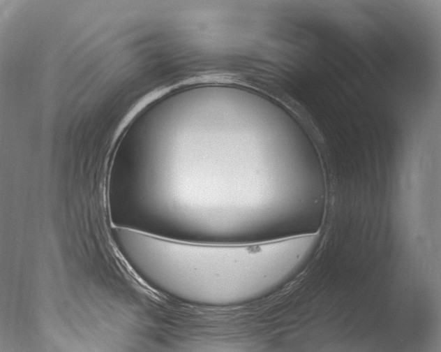 X0000077411436200610201410