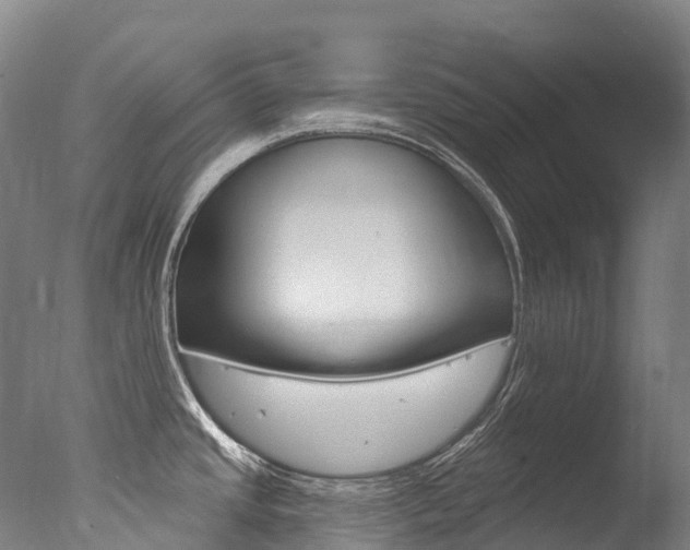 X0000077411437200610201410