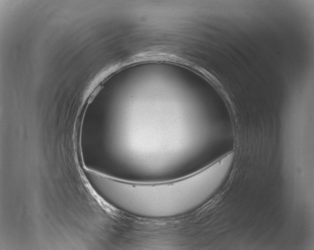 X0000077411438200610201410