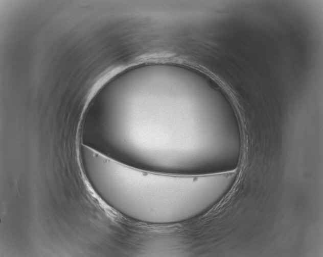 X0000077411440200610201410