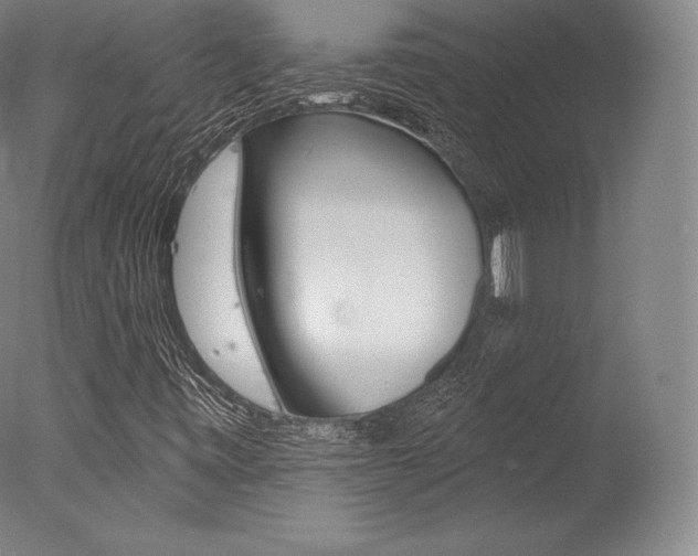 X0000077411443200610201409