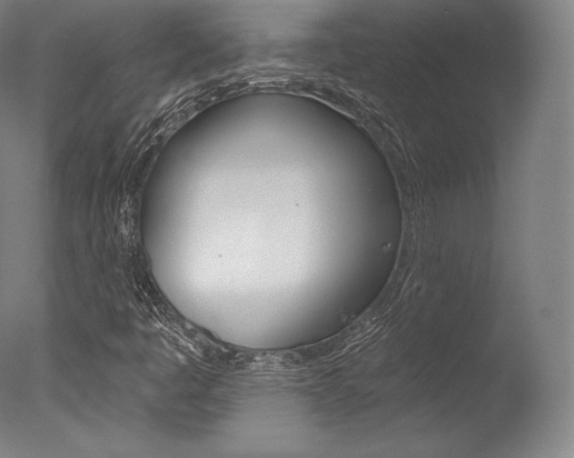 X0000077411445200610201409