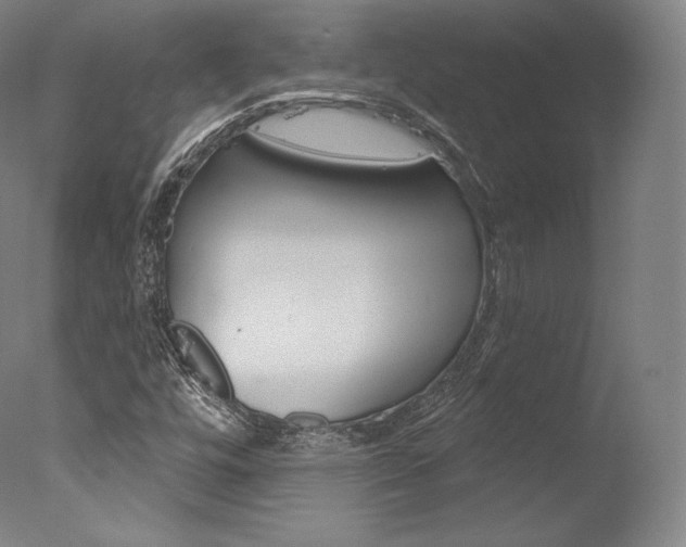 X0000077411448200610201409