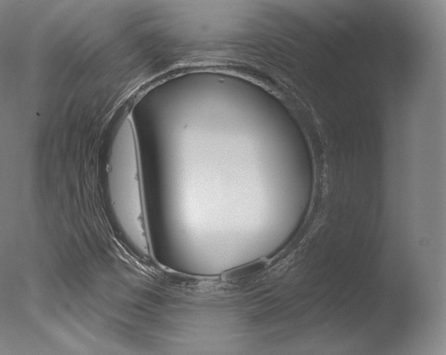 X0000077411449200610201409
