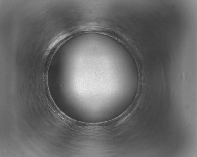 X0000077411453200610201409